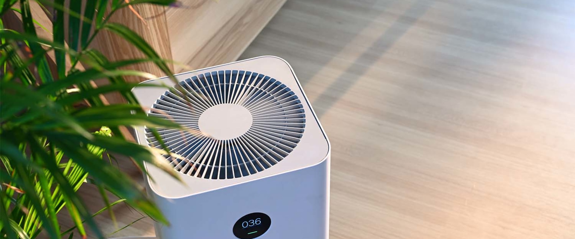 Do Air Purifiers Help with Dust Mites? An Expert's Perspective