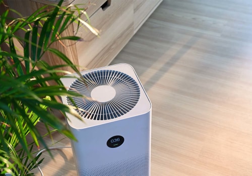 Do Air Purifiers Help with Dust Mites? - An Expert's Perspective
